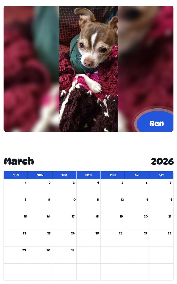 November 2025 - October 2026 Ren - Pawidols Pet Calendar