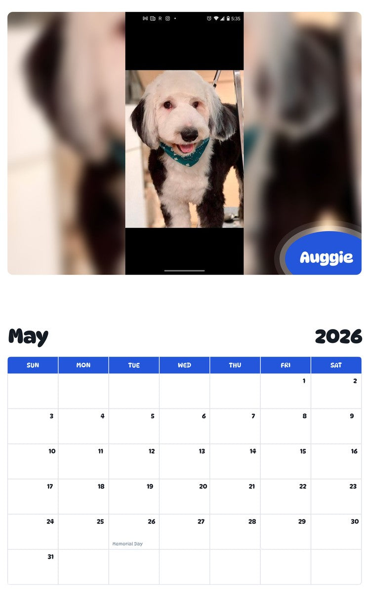 2026 - 2027 Auggie - Pawidols Pet Calendar