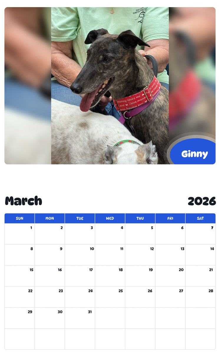 November 2025 - October 2026 Ginny - Pawidols Pet Calendar