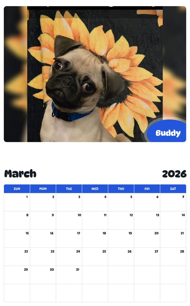 November 2025 - October 2026 Buddy - Pawidols Pet Calendar