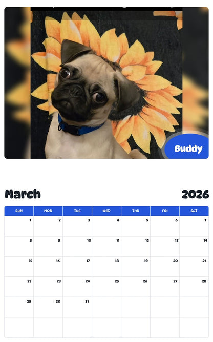 November 2025 - October 2026 Buddy - Pawidols Pet Calendar