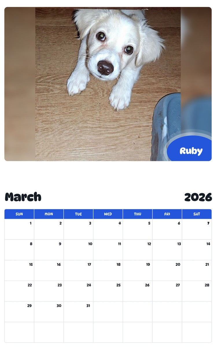 November 2025 - October 2026 Ruby - Pawidols Pet Calendar