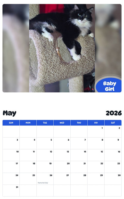 2026 - 2027 Baby Girl - Pawidols Pet Calendar