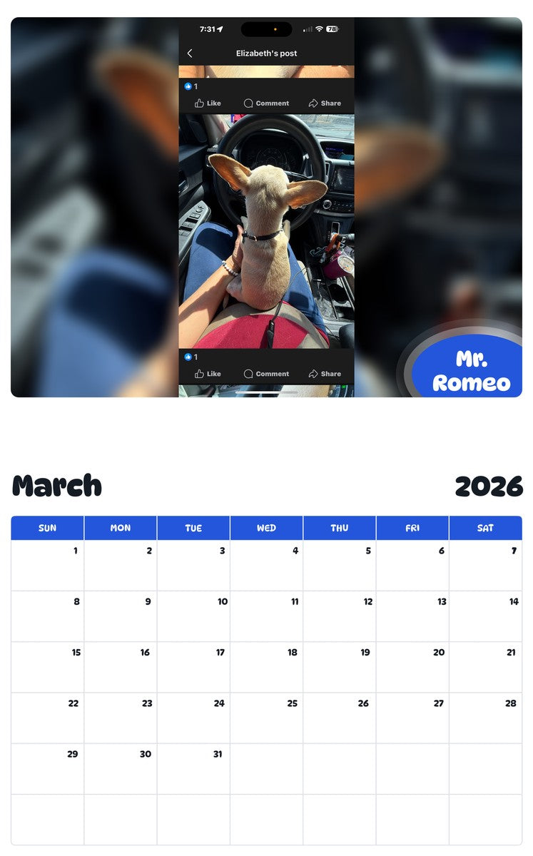 November 2025 - October 2026 Mr. Romeo - Pawidols Pet Calendar