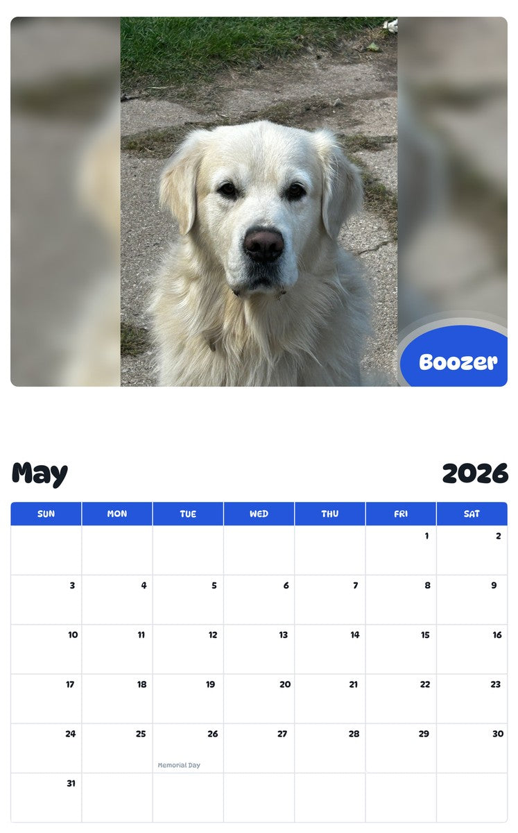 2026 - 2027 Boozer - Pawidols Pet Calendar