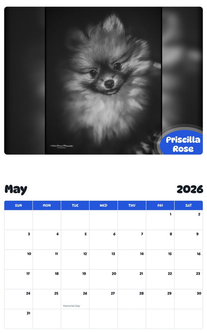 2026 - 2027 Priscilla Rose - Pawidols Pet Calendar