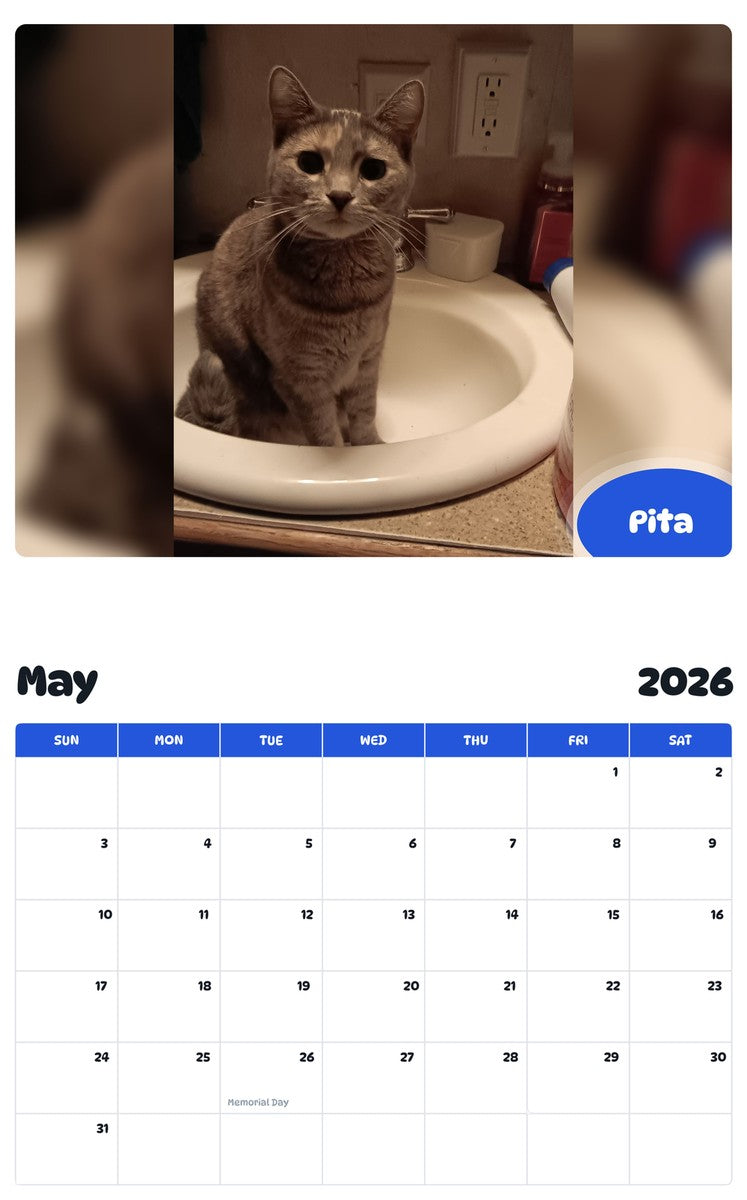 2026 - 2027 Pita - Pawidols Pet Calendar