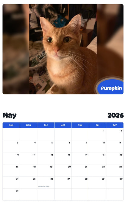 2026 - 2027 Pumpkin - Pawidols Pet Calendar
