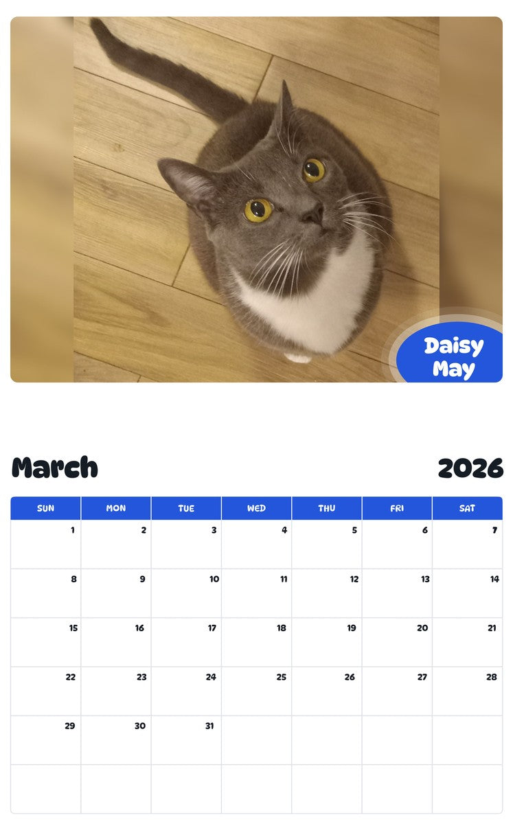 November 2025 - October 2026 Daisy May - Pawidols Pet Calendar