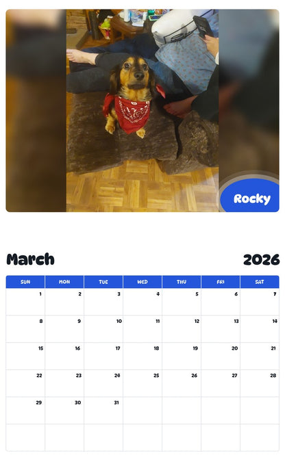November 2025 - October 2026 Rocky - Pawidols Pet Calendar