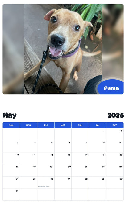 2026 - 2027 Puma - Pawidols Pet Calendar