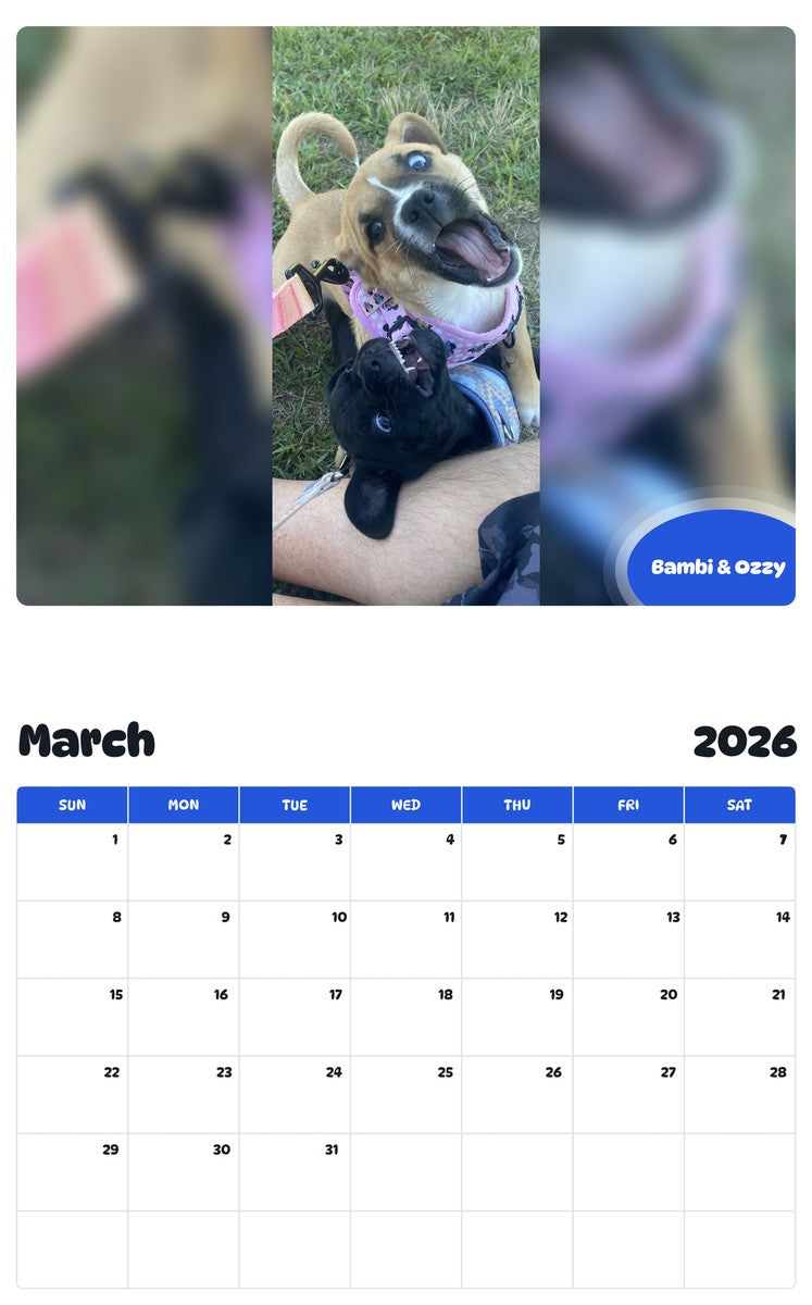 November 2025 - October 2026 Bambi & Ozzy - Pawidols Pet Calendar