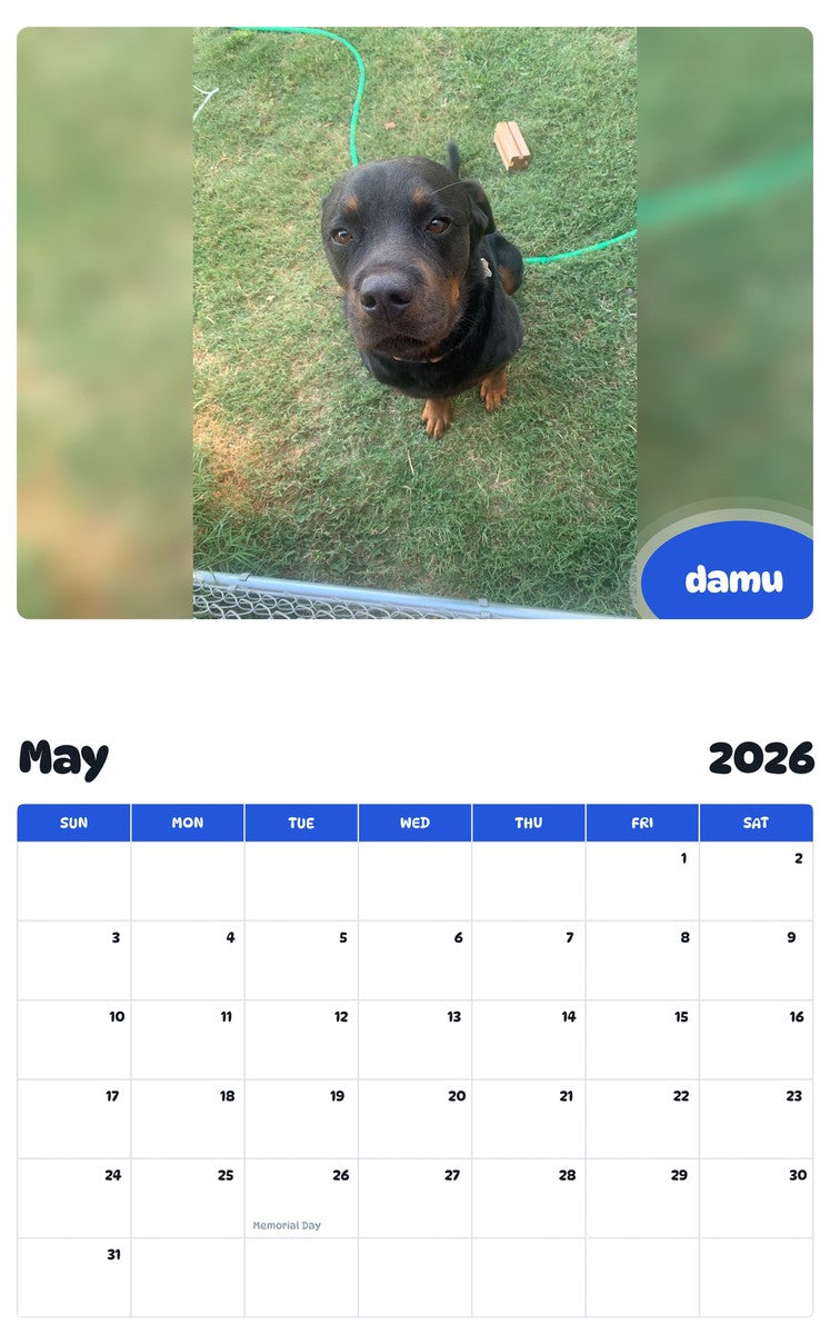 2026 - 2027 damu - Pawidols Pet Calendar
