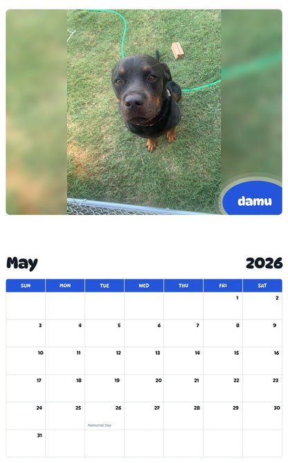 2026 - 2027 damu - Pawidols Pet Calendar