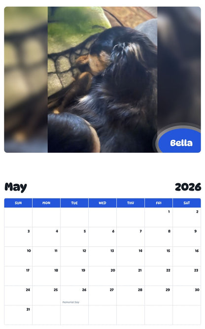 2026 - 2027 Bella - Pawidols Pet Calendar