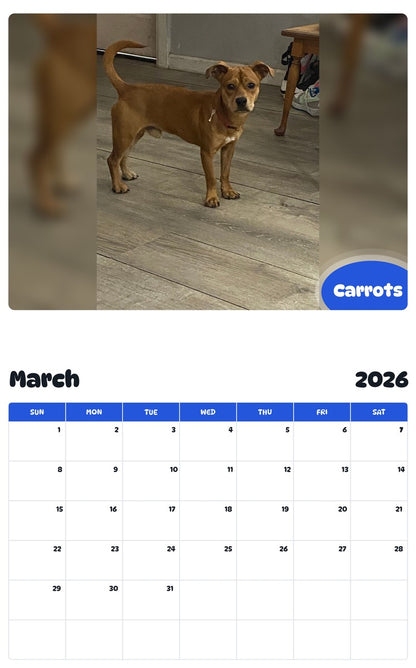 November 2025 - October 2026 Carrots - Pawidols Pet Calendar