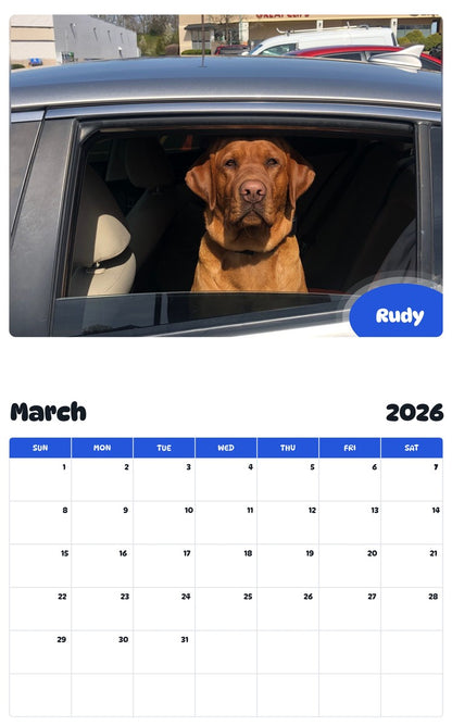 November 2025 - October 2026 Rudy - Pawidols Pet Calendar
