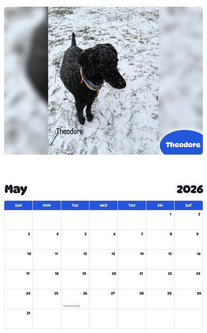 2026 - 2027 Theodore - Pawidols Pet Calendar