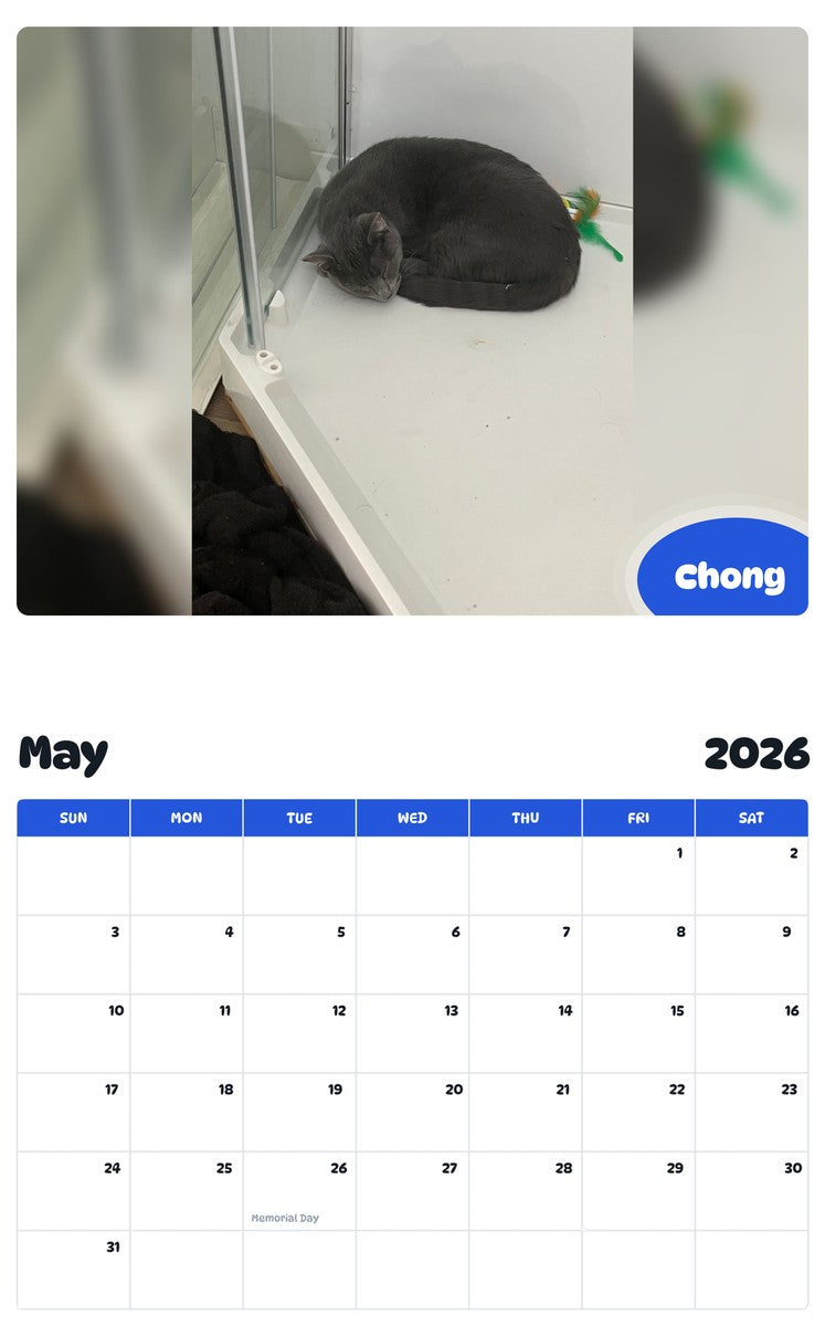 2026 - 2027 Chong - Pawidols Pet Calendar