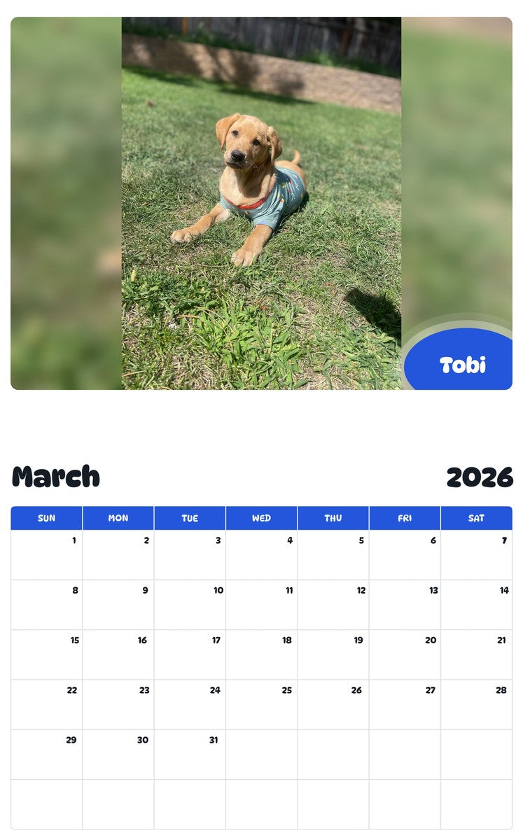 November 2025 - October 2026 Tobi - Pawidols Pet Calendar