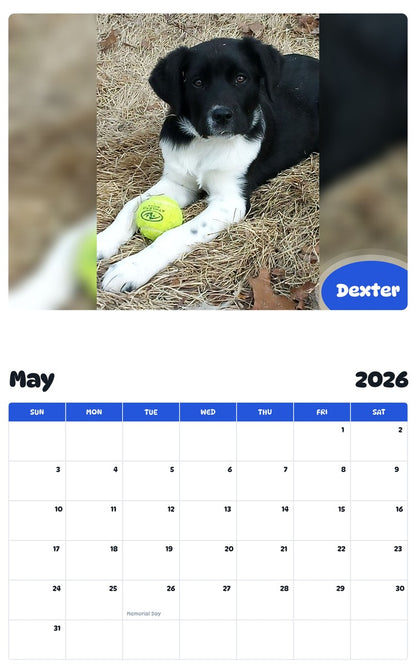 2026 - 2027 Dexter - Pawidols Pet Calendar