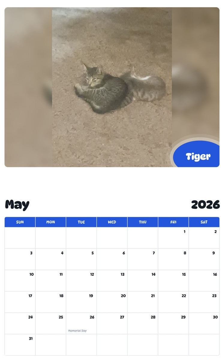 2026 - 2027 Tiger - Pawidols Pet Calendar