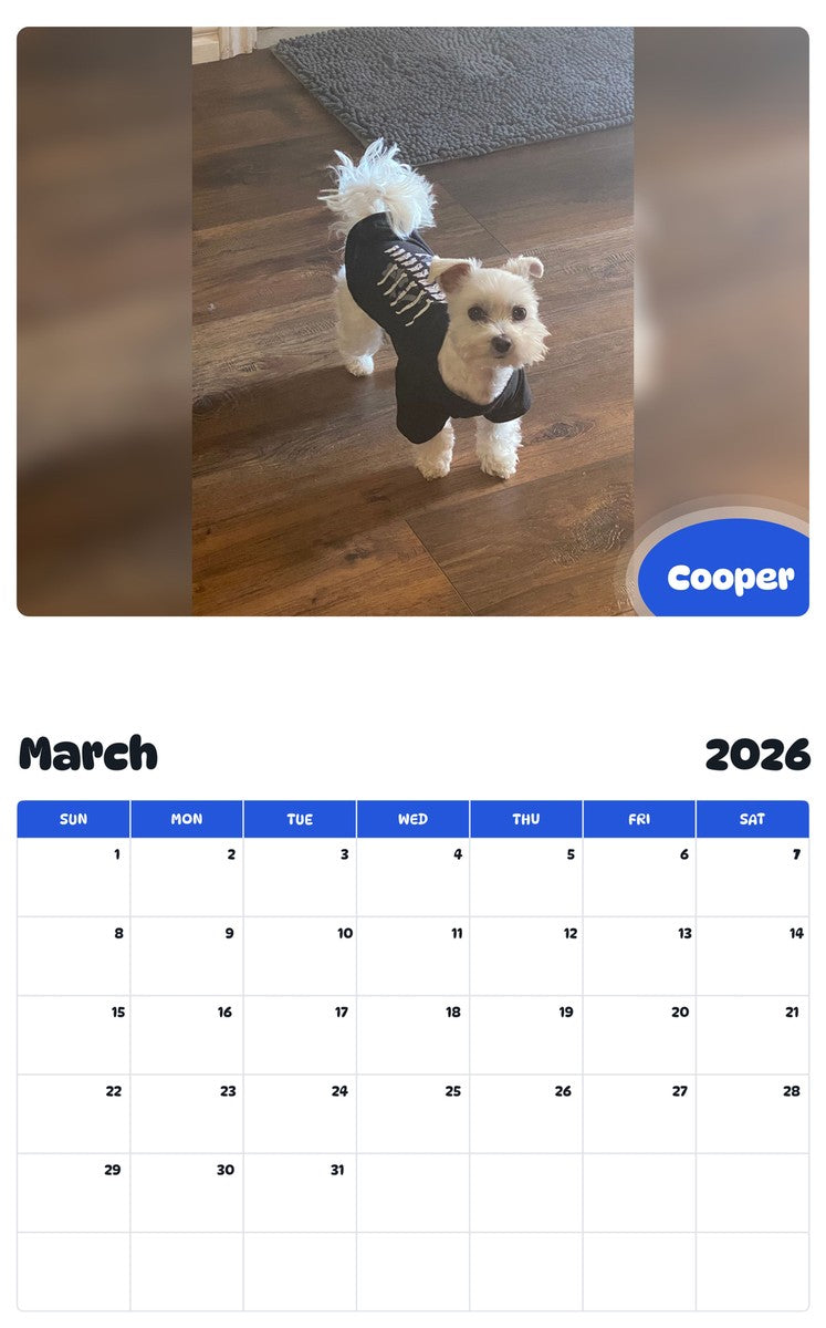 November 2025 - October 2026 Cooper - Pawidols Pet Calendar