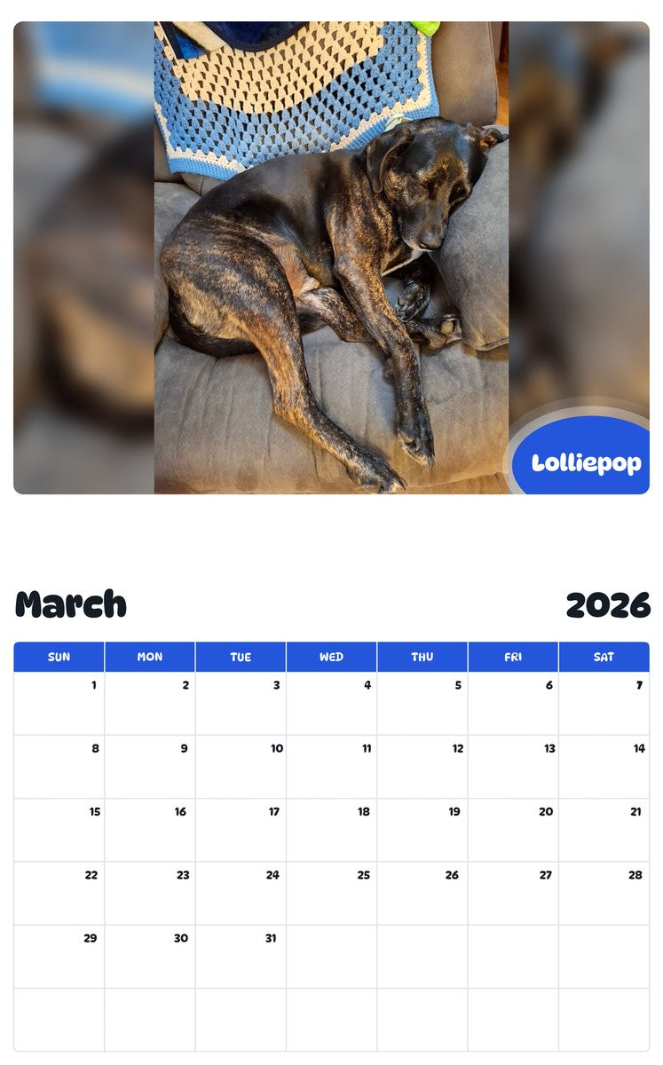 November 2025 - October 2026 Lolliepop - Pawidols Pet Calendar