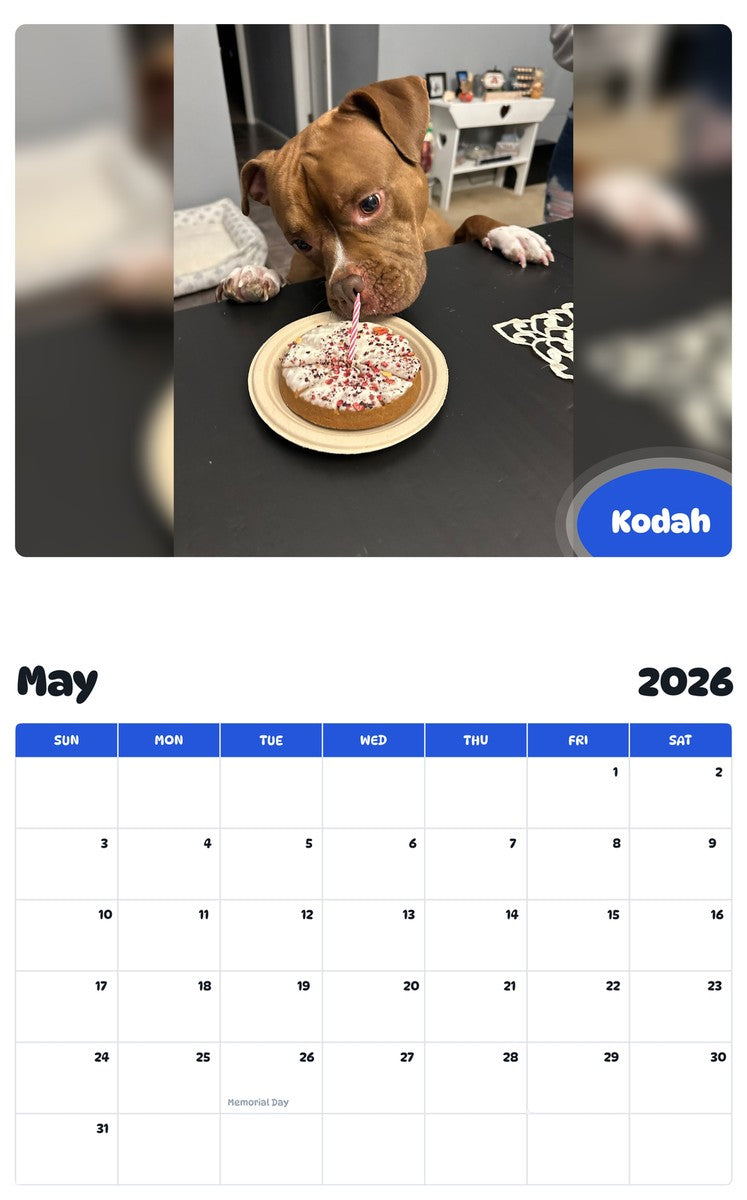 2026 - 2027 Kodah - Pawidols Pet Calendar