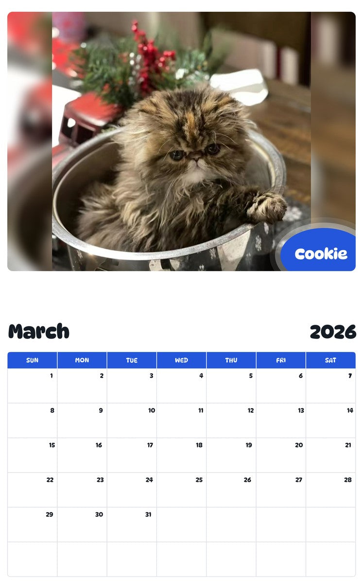 November 2025 - October 2026 Cookie - Pawidols Pet Calendar