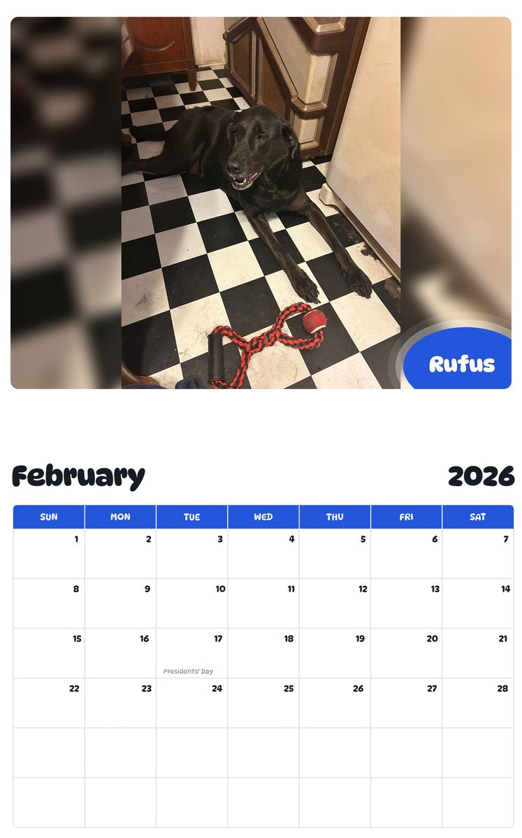 November 2025 - October 2026 Rufus - Pawidols Pet Calendar