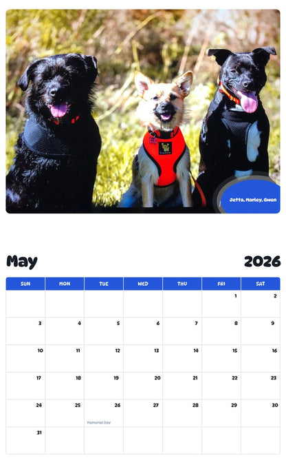2026 - 2027 Jetta, Marley, Gwen - Pawidols Pet Calendar