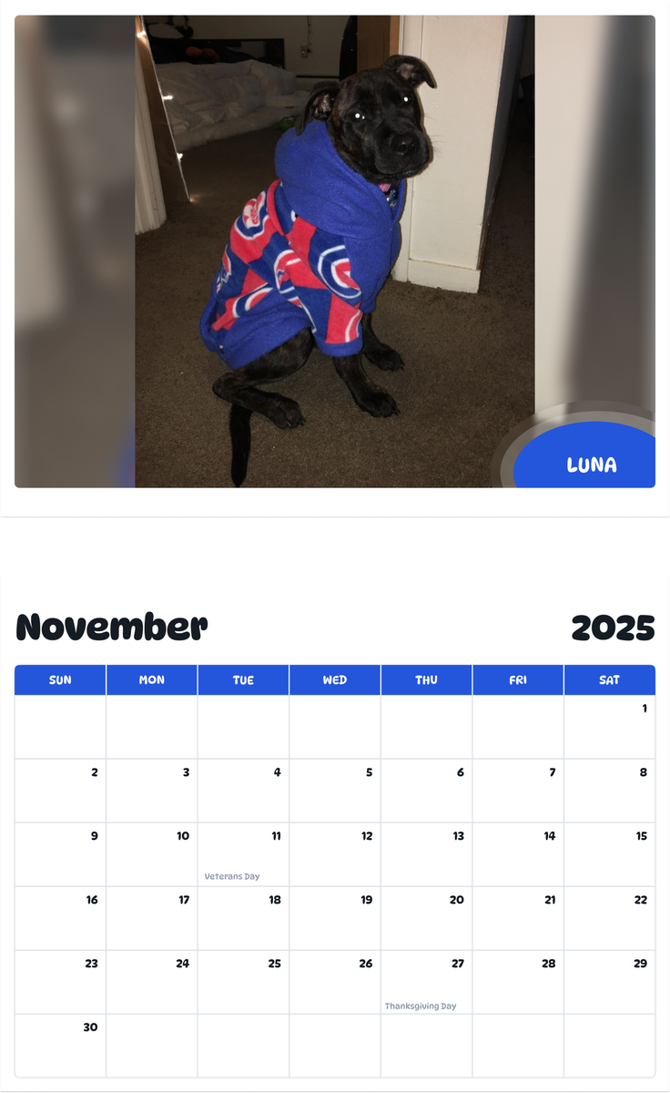 July 2025 - June 2026 Luna - Pawidols Pet Calendar