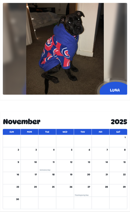 July 2025 - June 2026 Luna - Pawidols Pet Calendar