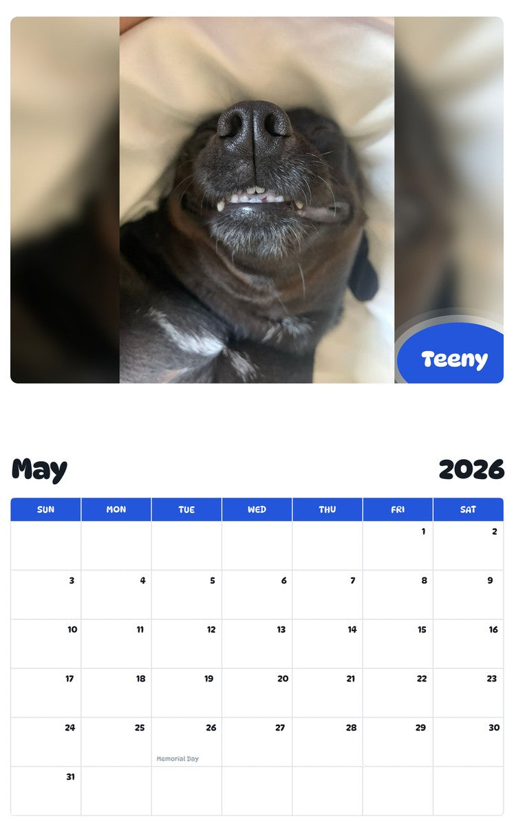 2026 - 2027 Teeny - Pawidols Pet Calendar