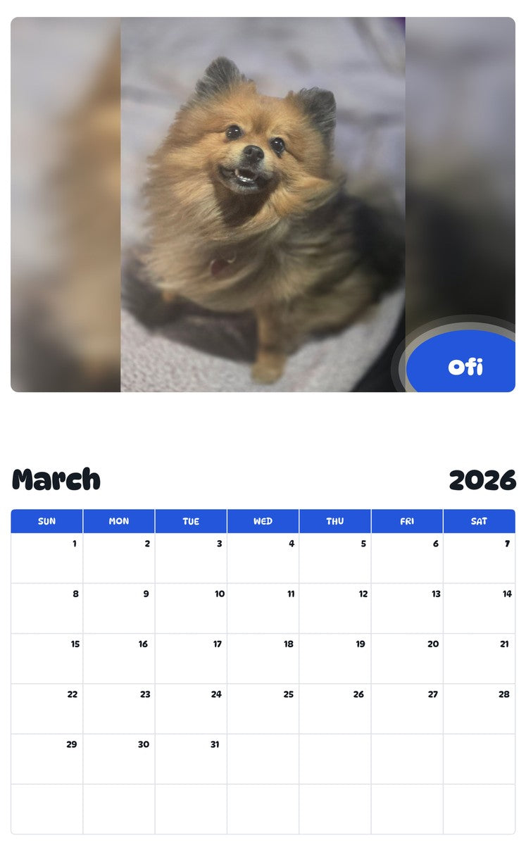 November 2025 - October 2026 Ofi - Pawidols Pet Calendar