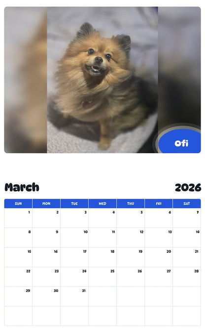 November 2025 - October 2026 Ofi - Pawidols Pet Calendar