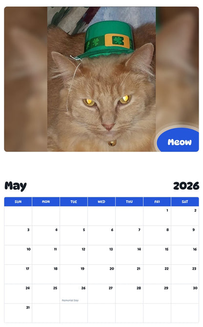 2026 - 2027 Meow - Pawidols Pet Calendar