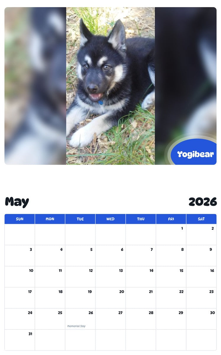2026 - 2027 Yogibear - Pawidols Pet Calendar
