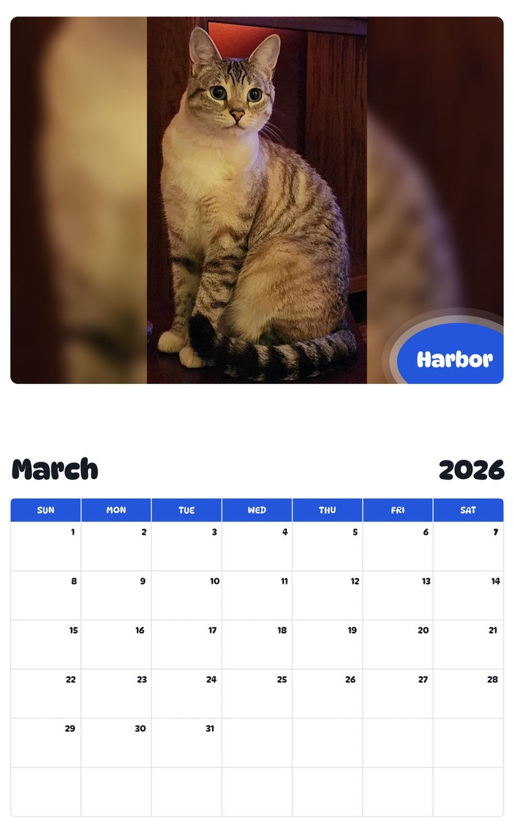November 2025 - October 2026 Harbor - Pawidols Pet Calendar