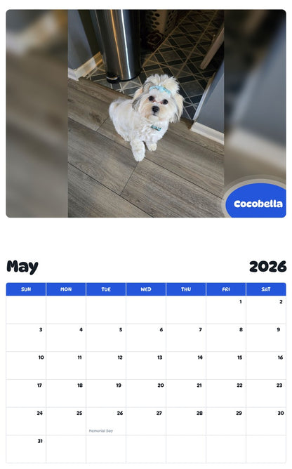 2026 - 2027 Cocobella - Pawidols Pet Calendar