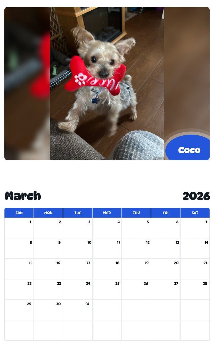 November 2025 - October 2026 Coco - Pawidols Pet Calendar