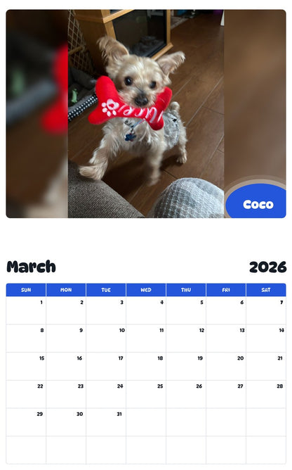 November 2025 - October 2026 Coco - Pawidols Pet Calendar