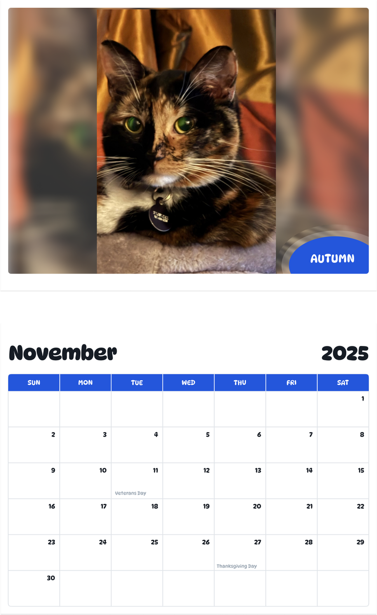 July 2025 - June 2026 Autumn - Pawidols Pet Calendar
