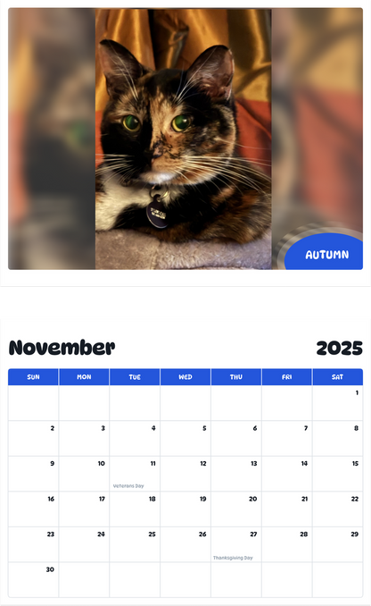 July 2025 - June 2026 Autumn - Pawidols Pet Calendar