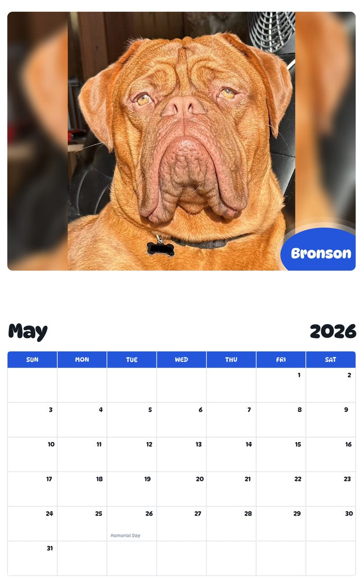 2026 - 2027 Bronson - Pawidols Pet Calendar
