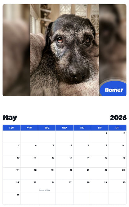2026 - 2027 Homer - Pawidols Pet Calendar