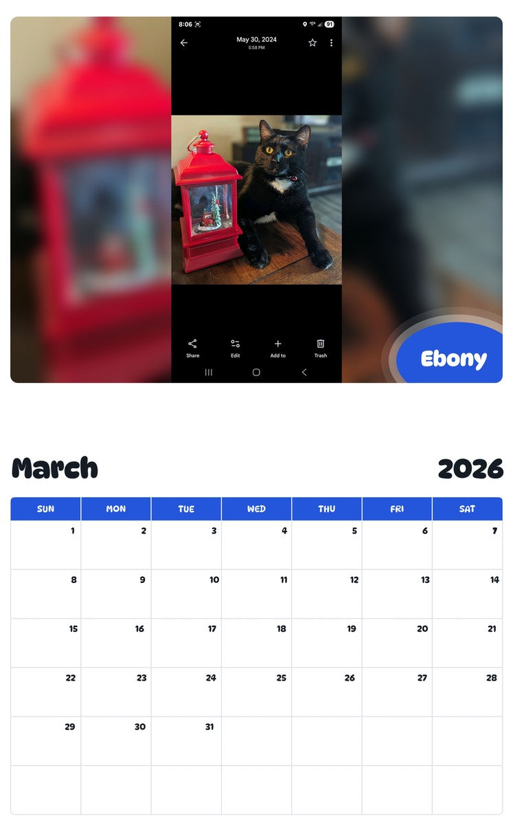 November 2025 - October 2026 Ebony - Pawidols Pet Calendar