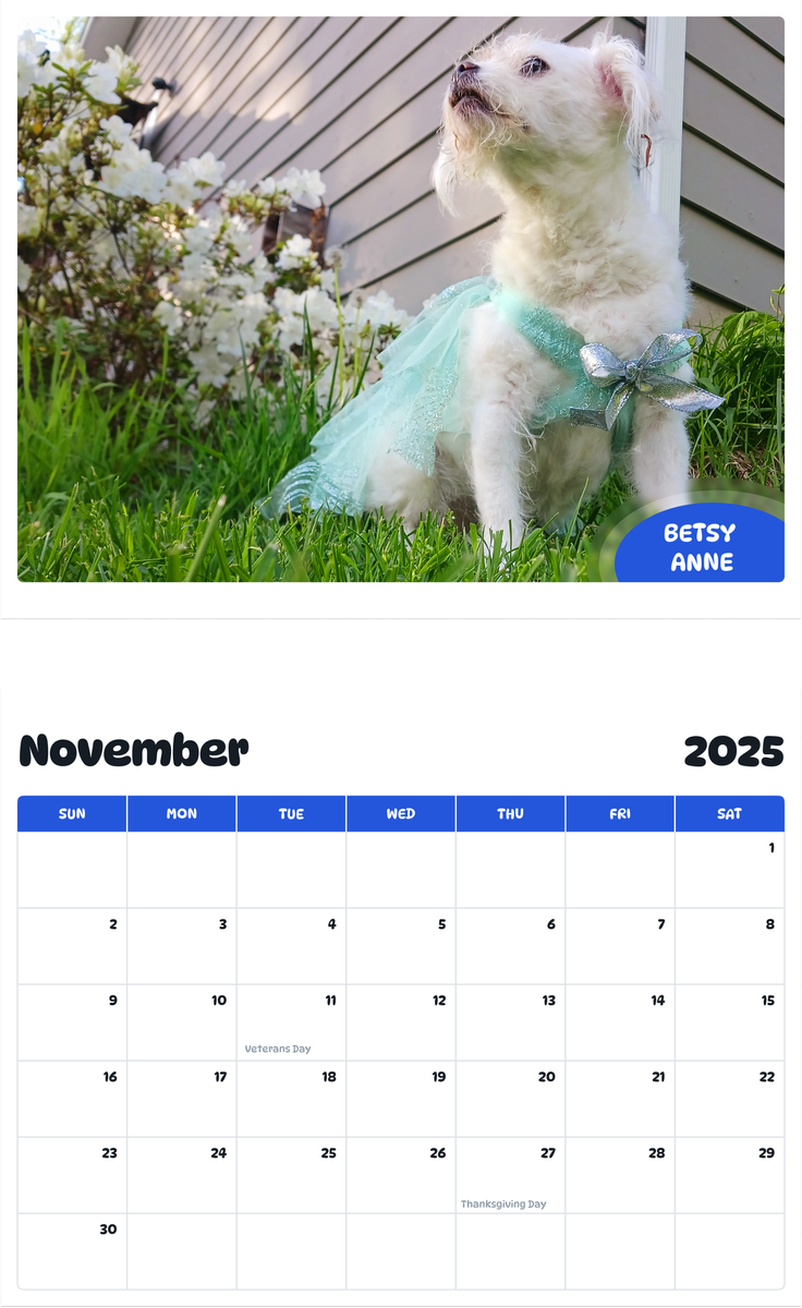 July 2025 - June 2026 Betsy Anne - Pawidols Pet Calendar