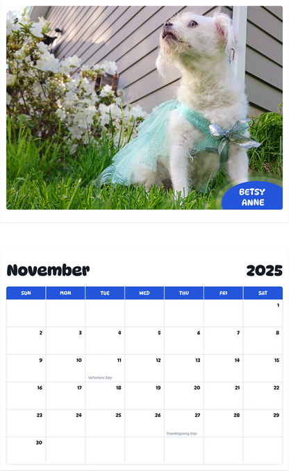 July 2025 - June 2026 Betsy Anne - Pawidols Pet Calendar
